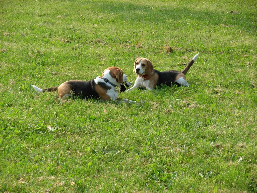 Teo e Nike